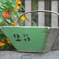 French Wooden Trug